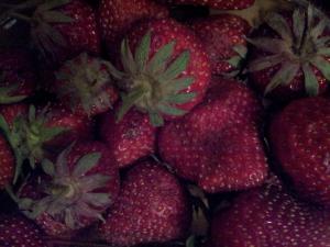 Φράουλες,βιολογικές και γλυκιές από τον χωριό Τροπαιούχος Φλώρινας