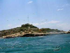 Γλάροι πάνω από τα νησάκια στα Περιστέρια Σαλαμίνας